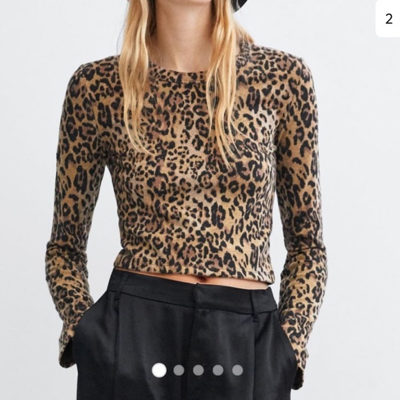 leopard sleeve sweater